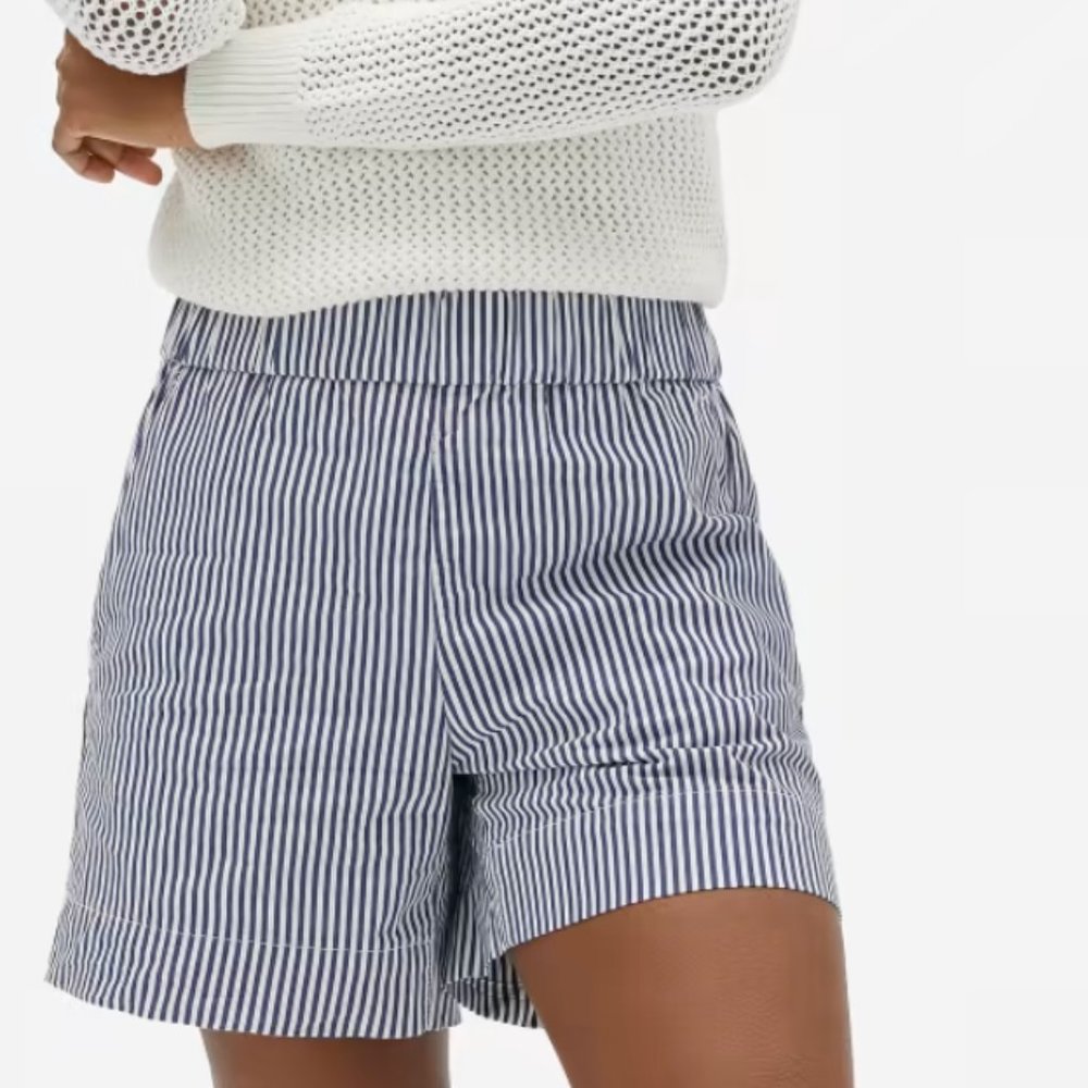 Everlane Easy Short in Blue and White Striped